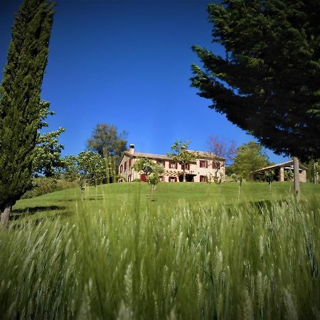 Bed and Breakfast Quelli Del Picchio Cupramontana Exterior foto
