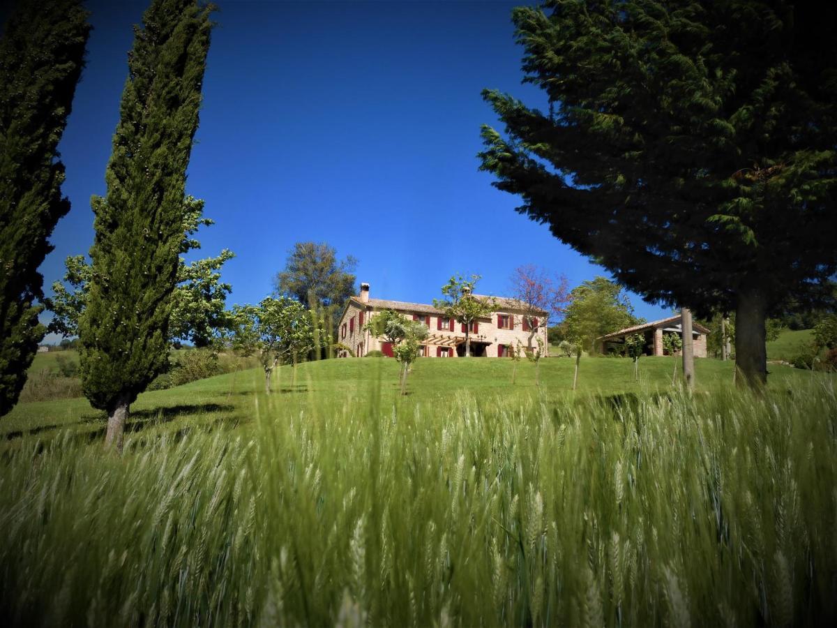 Bed and Breakfast Quelli Del Picchio Cupramontana Exterior foto